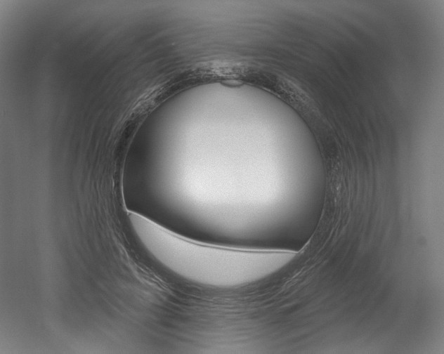 X0000052590595200507010941