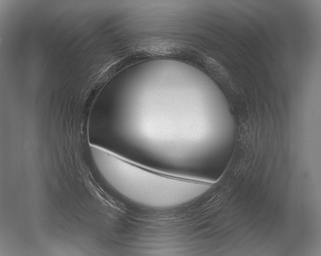 X0000052590596200507010941