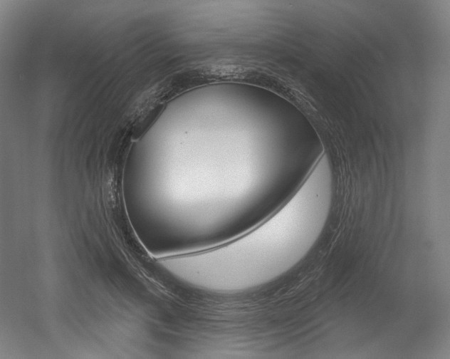 X0000052590597200507010941
