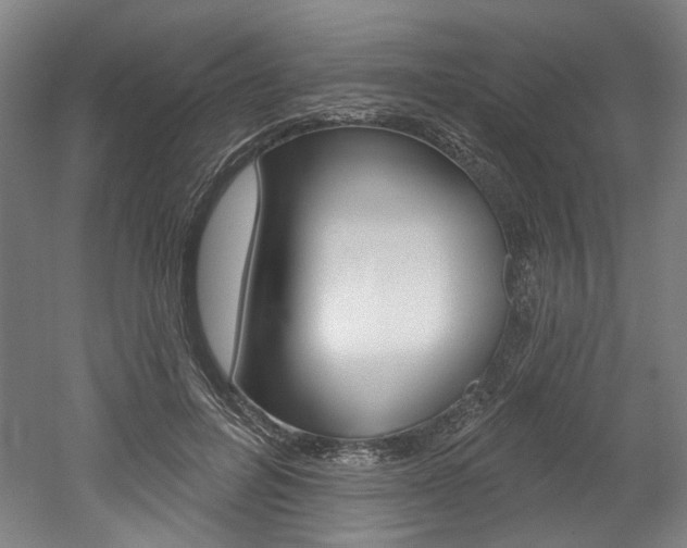 X0000052590600200507010941