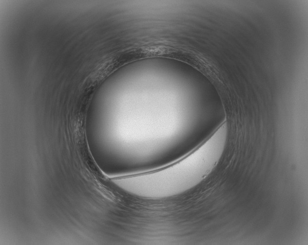 X0000052590601200507010941