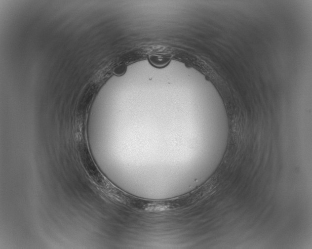 X0000052590602200507010941