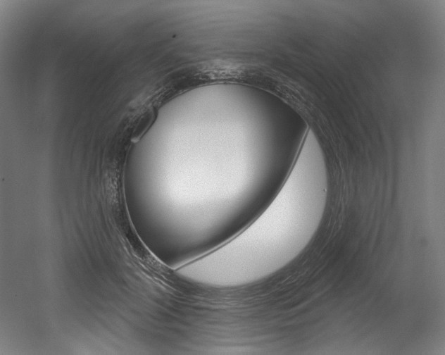 X0000052590604200507010941