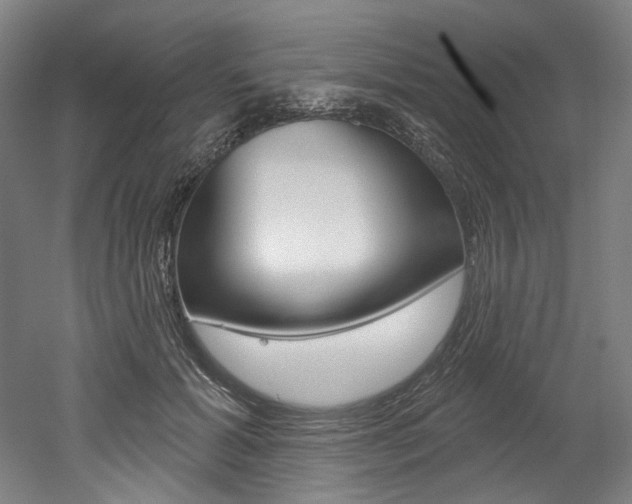 X0000052590605200507010941