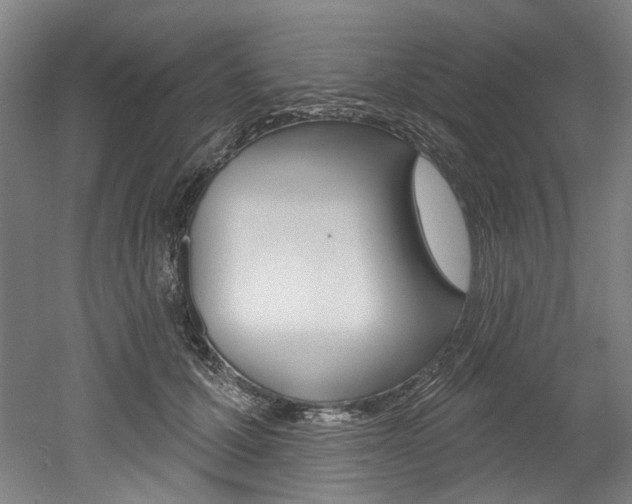 X0000052590607200507010941