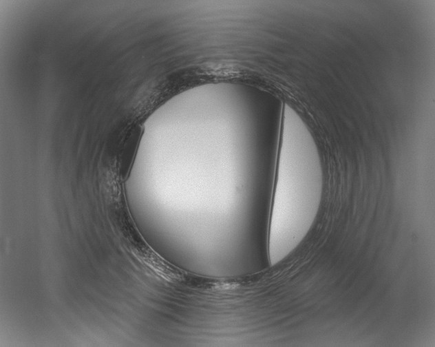 X0000052590609200507010941