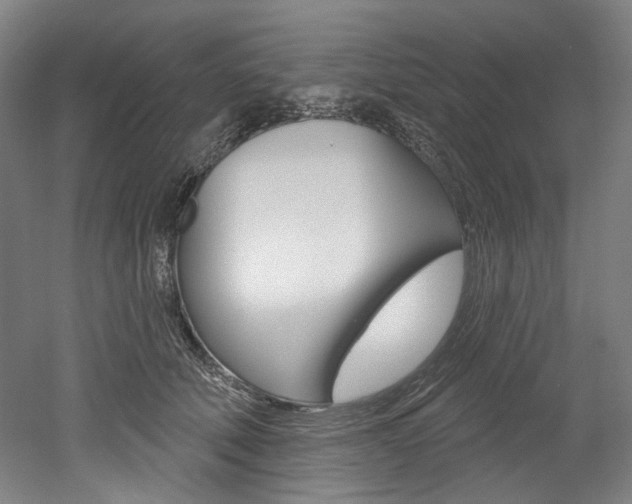 X0000052590610200507010941
