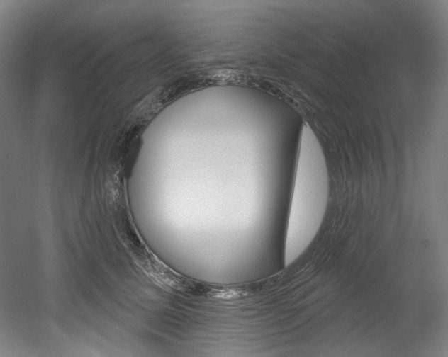 X0000052590611200507010941