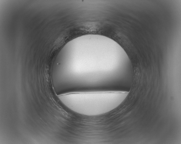 X0000052590612200507010941
