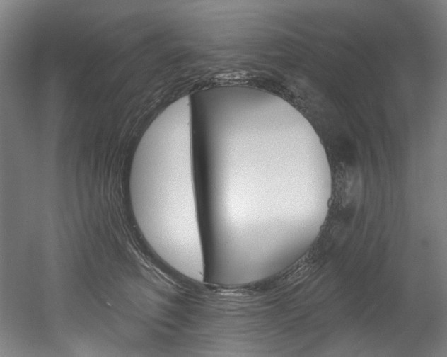 X0000052590614200507010941
