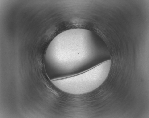 X0000052590615200507010941