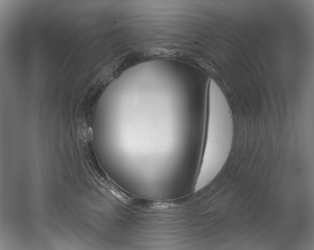 X0000052590617200507010941