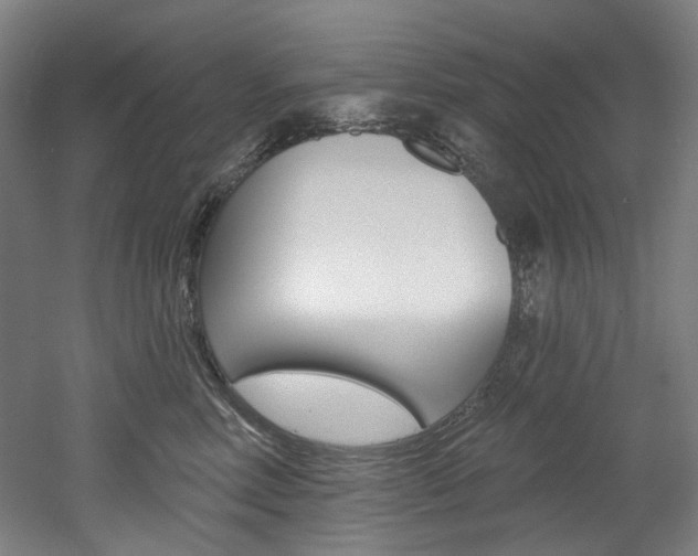 X0000052590618200507010941
