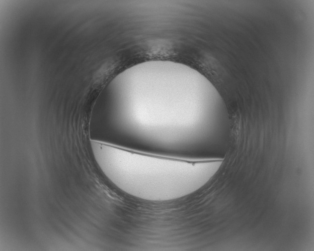 X0000052590619200507010941