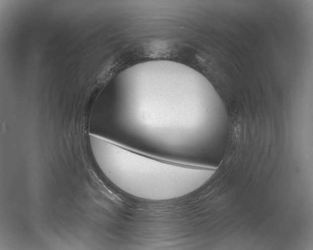 X0000052590620200507010941