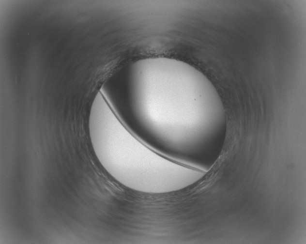 X0000052590624200507010941