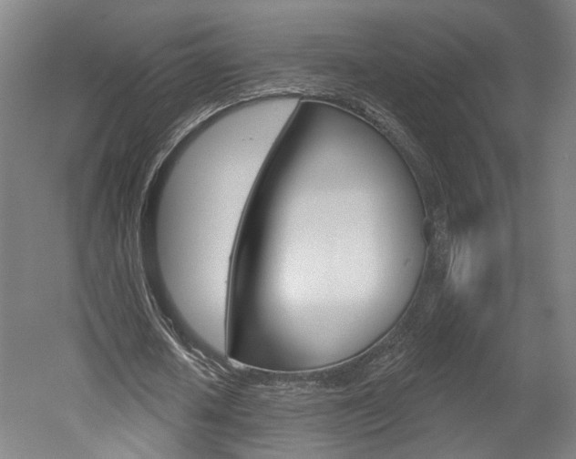 X0000052590626200507010940