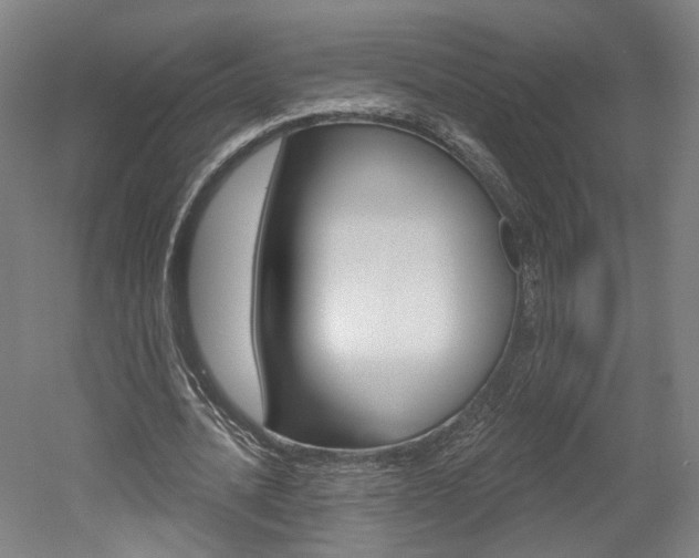 X0000052590628200507010940