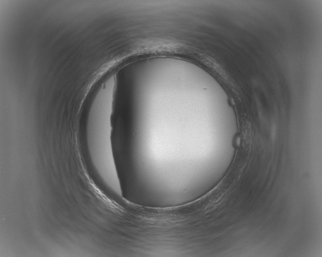 X0000052590629200507010940