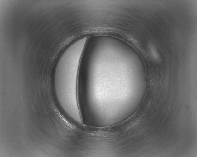 X0000052590633200507010940