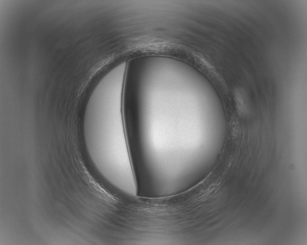 X0000052590637200507010940
