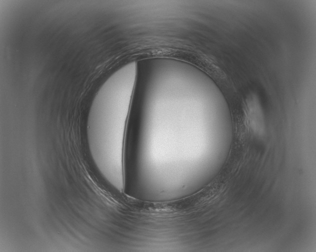 X0000052590645200507010940