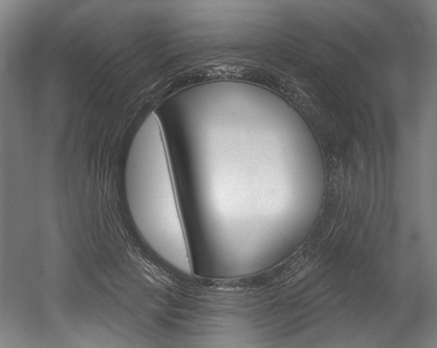 X0000052590649200507010941
