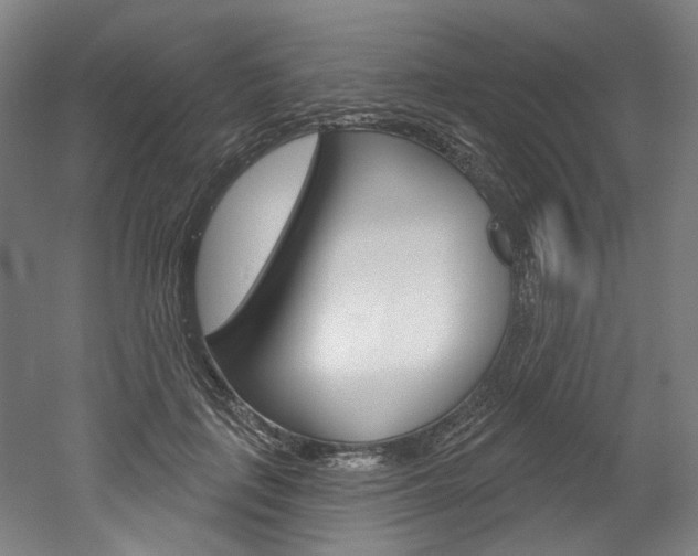 X0000052590651200507010941