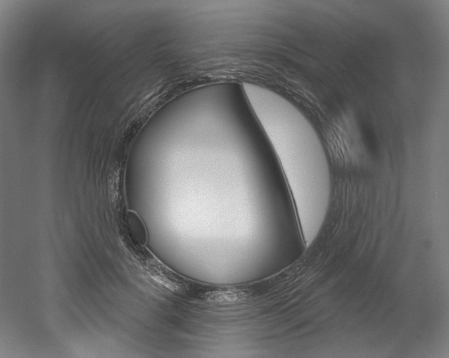 X0000052590652200507010941