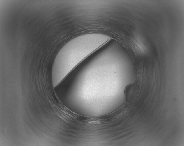 X0000052590653200507010941