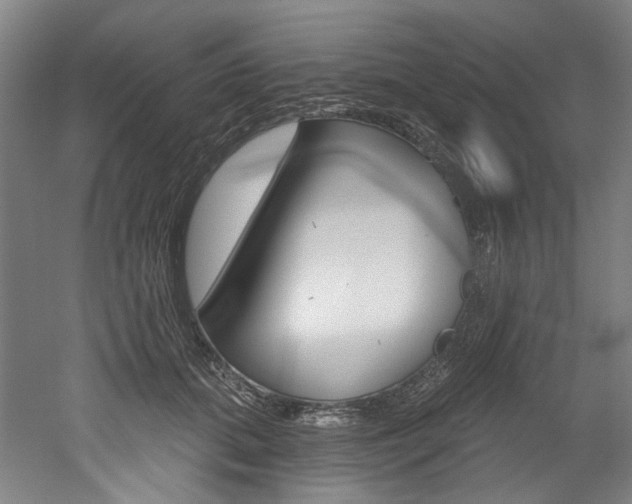 X0000052590655200507010941