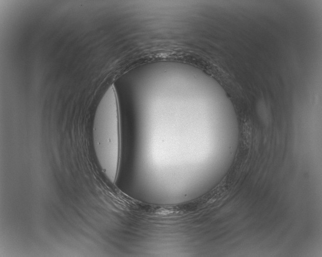 X0000052590657200507010941