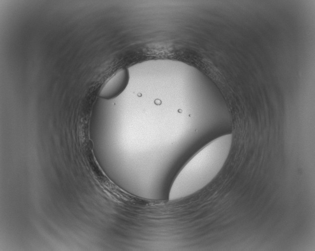 X0000052590658200507010941