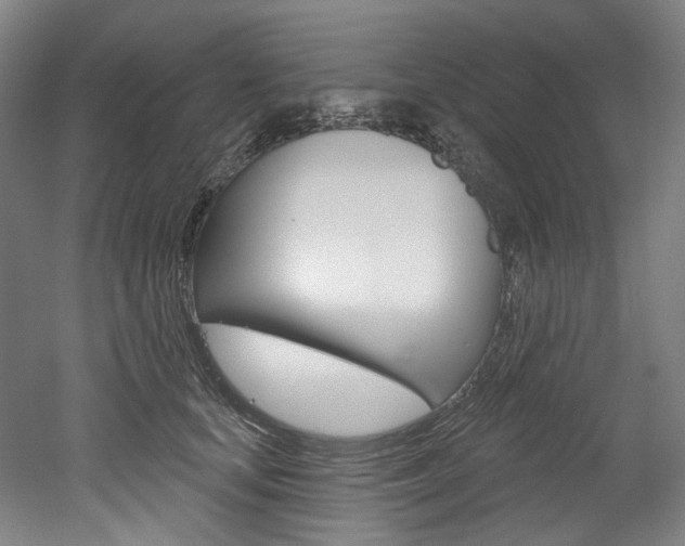 X0000052590659200507010941