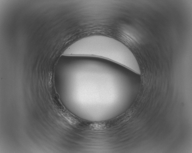 X0000052590660200507010941