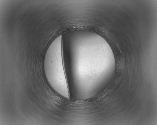 X0000052590661200507010941