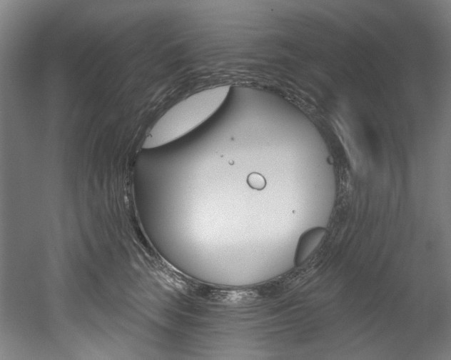 X0000052590663200507010941