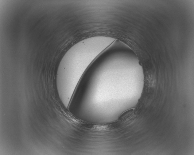 X0000052590665200507010941