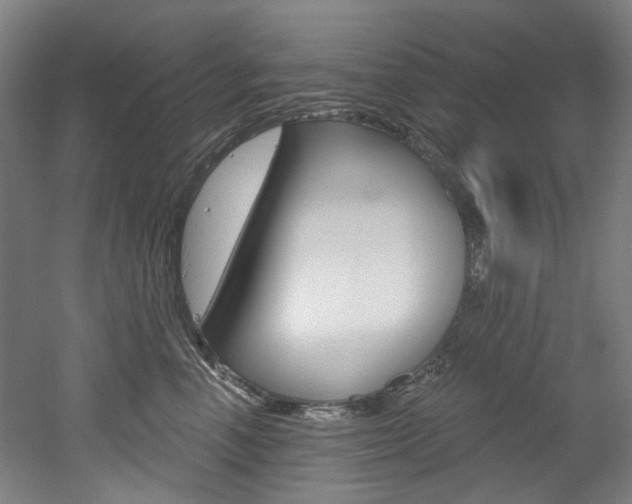 X0000052590666200507010941