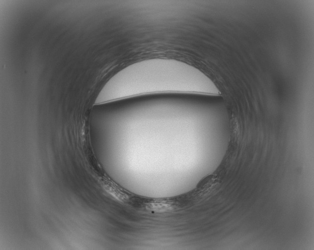 X0000052590668200507010941