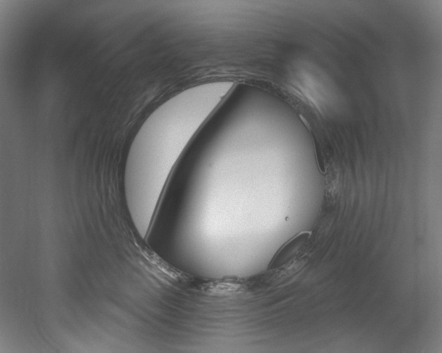 X0000052590669200507010941