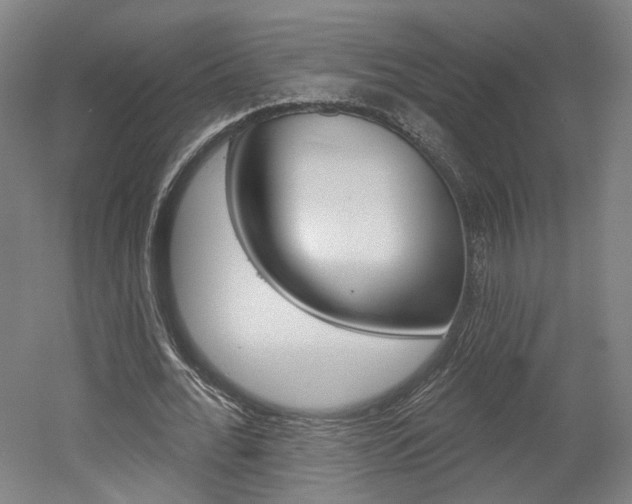 X0000052590676200507010940