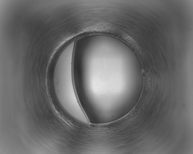 X0000052590680200507010940