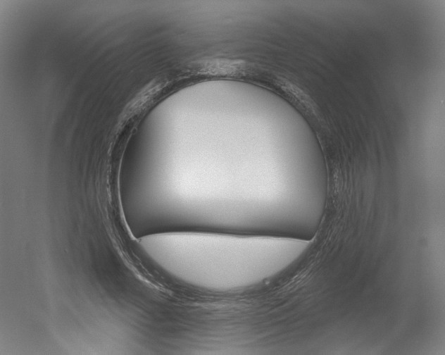 X0000052590682200507010940