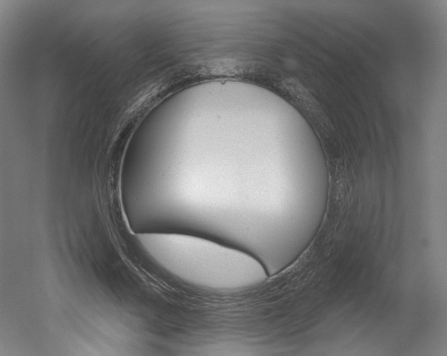 X0000052590683200507010940