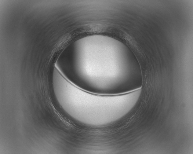 X0000052590685200507010940