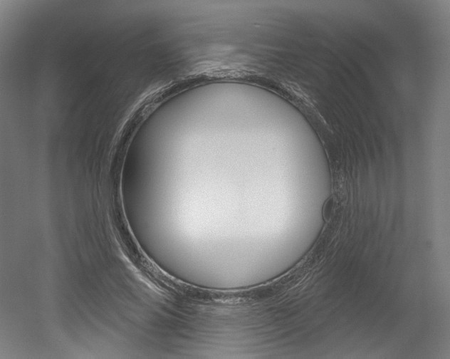 X0000052590686200507010940