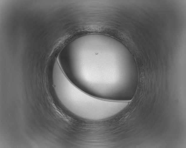 X0000052590688200507010940