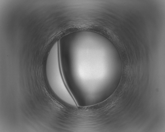 X0000052590689200507010940