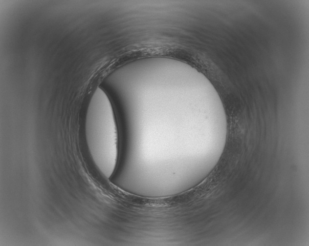 X0000052590694200507010940